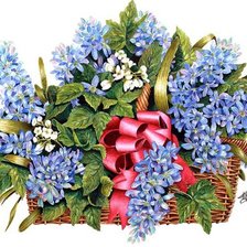 сирень в корзине