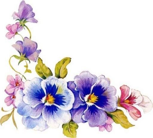 анютины глазки - цветы - оригинал