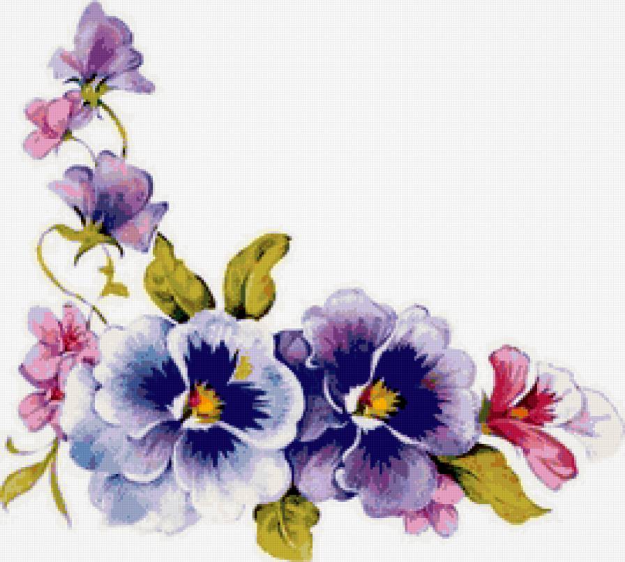 анютины глазки - цветы - предпросмотр