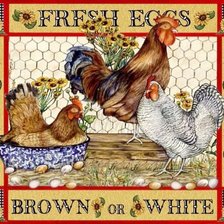 Схема вышивки «птичий двор»