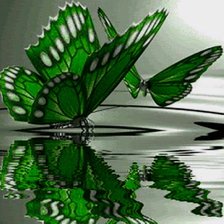 Схема вышивки «бабочка»