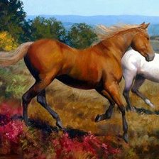 Схема вышивки «Кони»