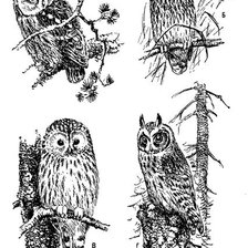 Схема вышивки «Четыре подружки»