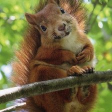 Схема вышивки «№400505»