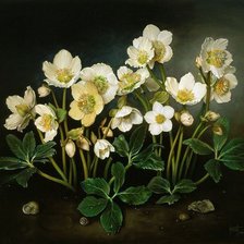 Белый букетик