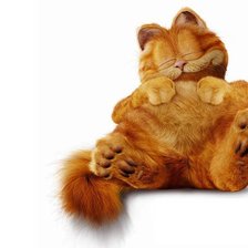 Схема вышивки «гарфилд»