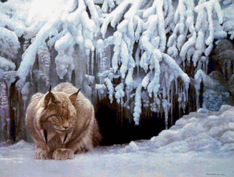 Рысь - рысь, дикие кошки, зима, природа, животные - предпросмотр