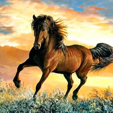 Схема вышивки «в прерии»