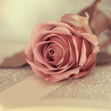 Схема вышивки «№400634»