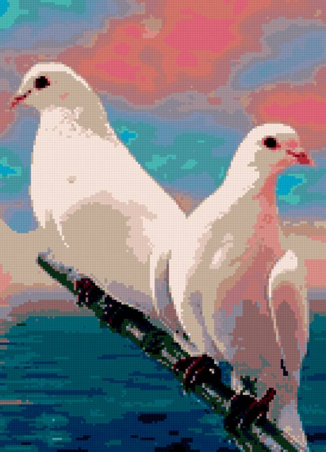 голуби - предпросмотр