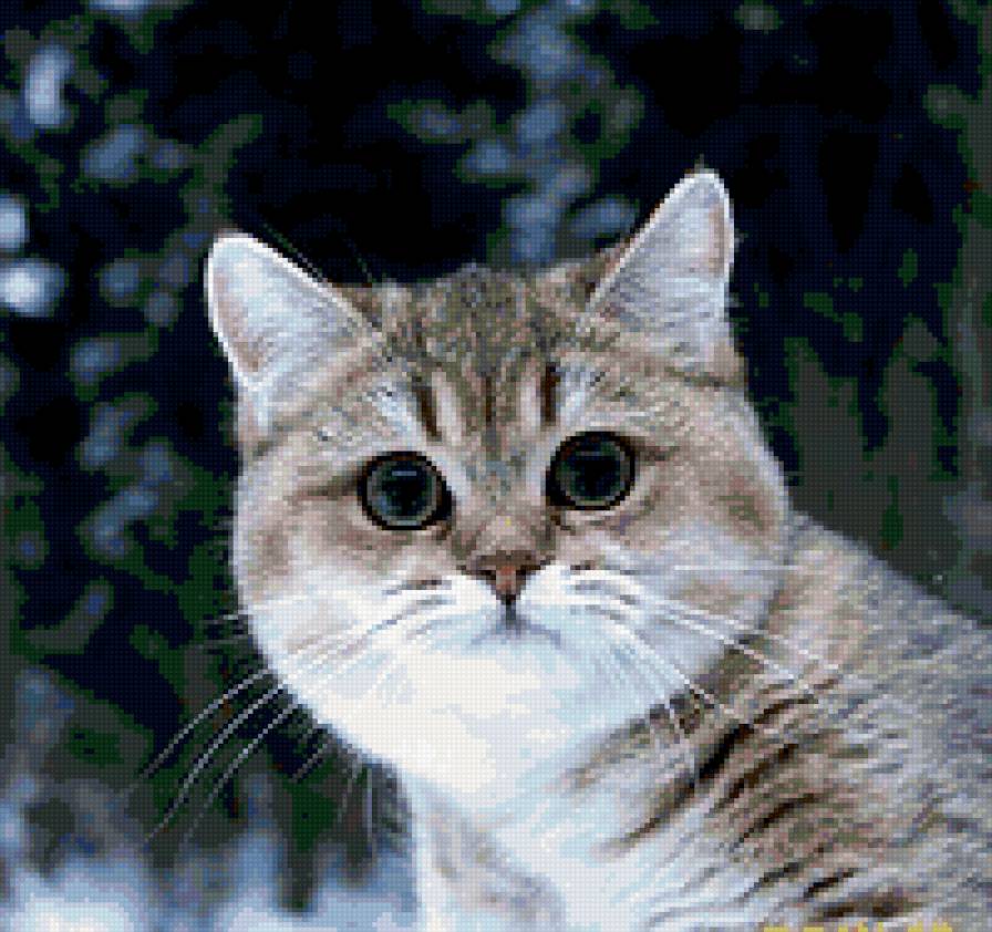 прелесть - предпросмотр