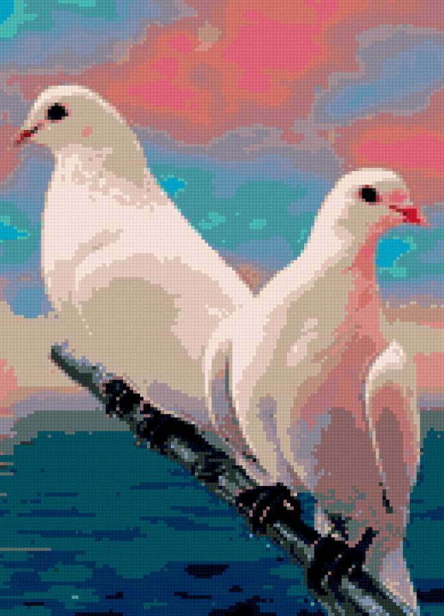 голуби - предпросмотр