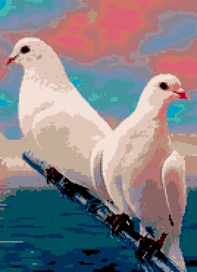 голуби - предпросмотр