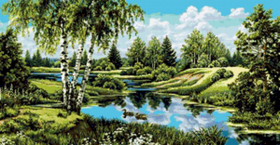 летний пейзаж - лес, утки, озеро, березки, лето - предпросмотр