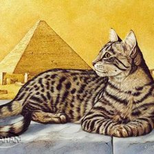 Схема вышивки «Кошки, собаки и другие животные»