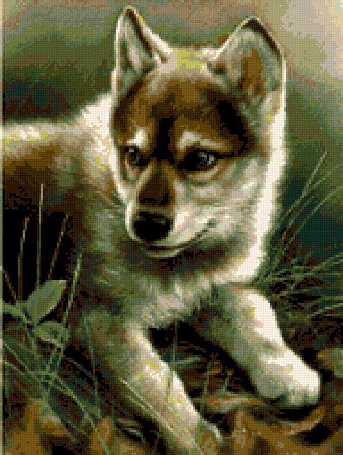 Волченок - животные - предпросмотр