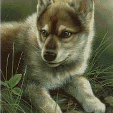 Схема вышивки «Волченок»