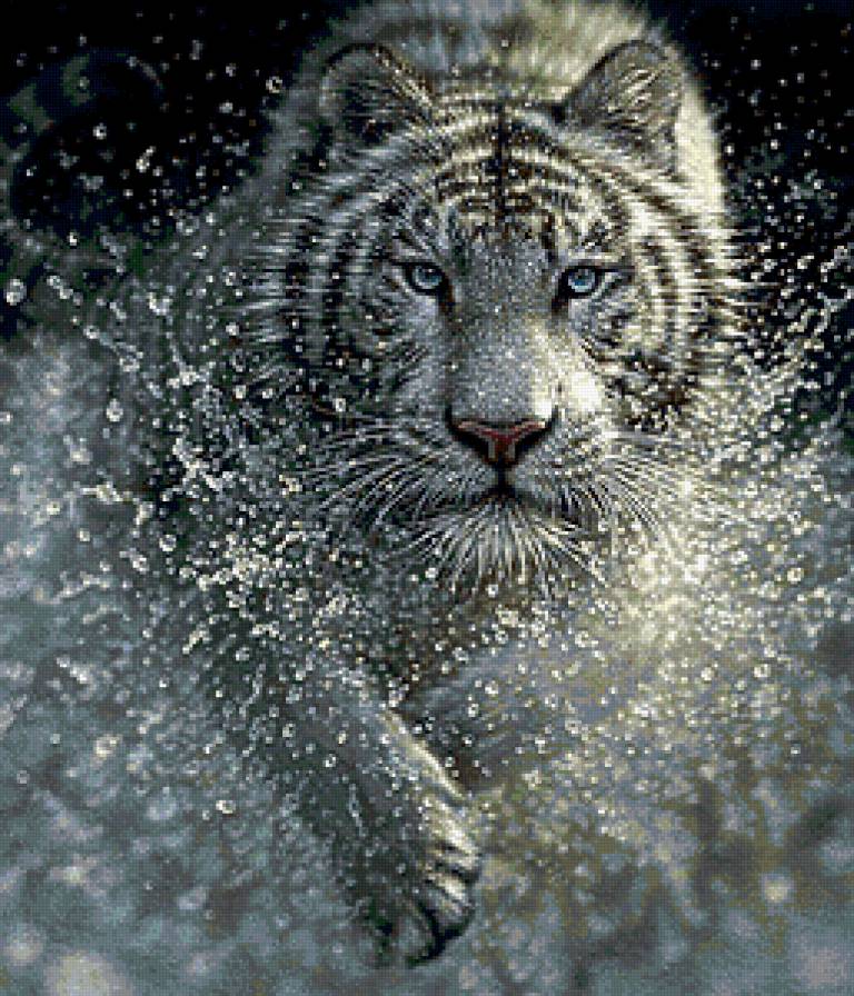 Белый тигр - тигры, животные - предпросмотр