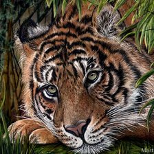 Схема вышивки «Тигр»