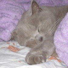 Схема вышивки «ляля»