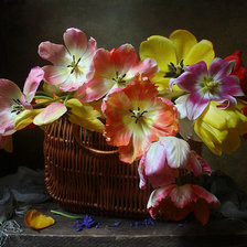 Схема вышивки «Милый Май»