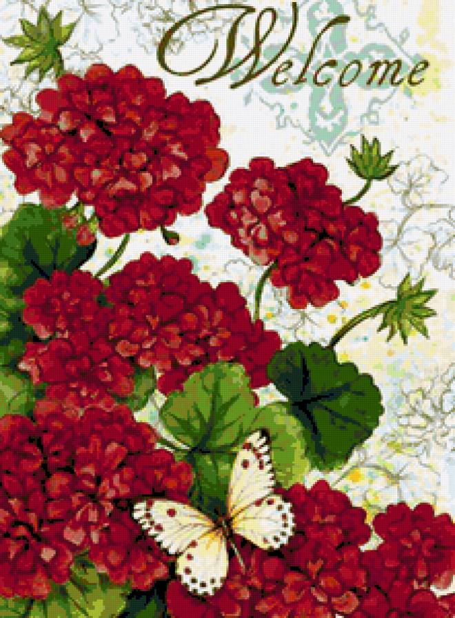 Герань и бабочки - цветы, бабочки, для прихожей, добро пожаловать, герань, флора - предпросмотр