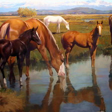 Схема вышивки «Автор Spartaco Lombardo»