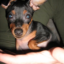 Схема вышивки «нэя»