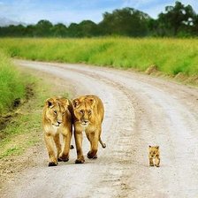 Схема вышивки «№401119»