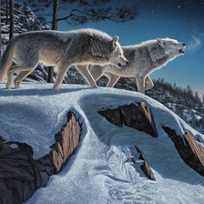 Схема вышивки «8888»