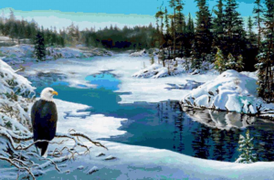 №401144 - утки, волки, дикая природа, орлы, олени, медведи, птицы, охота - предпросмотр