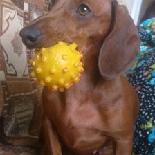 Схема вышивки «Миля»