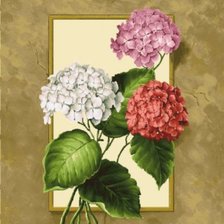 Схема вышивки «гортензия»