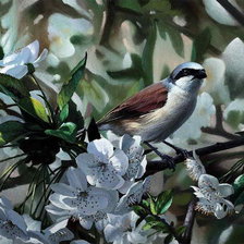 Схема вышивки «Птичка на яблоне»