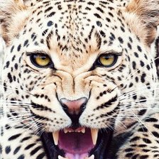 Схема вышивки «№401318»