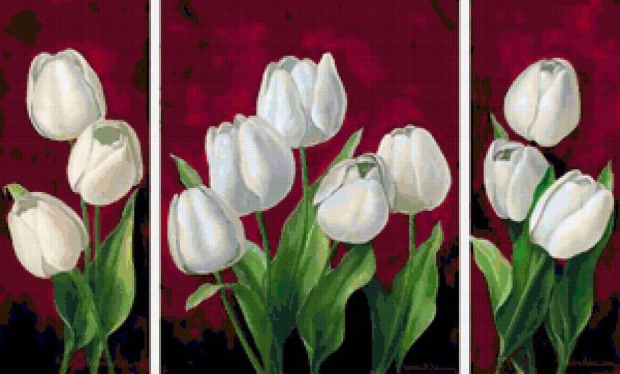 белые тюльпаны - тюльпаны - предпросмотр