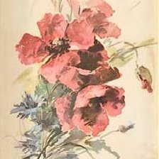 Схема вышивки «Маки»