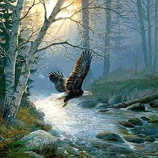 Схема вышивки «Над бурным потоком»