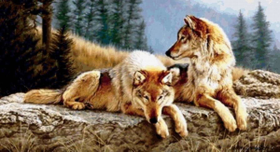 №401843 - предпросмотр