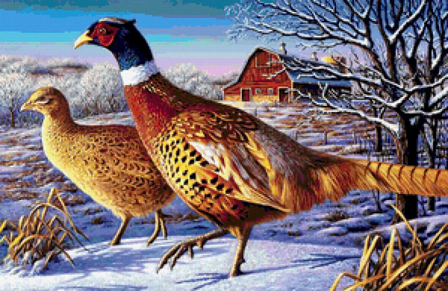 №401863 - охота, орлы, дикая природа, волки, утки, птицы, олени, медведи - предпросмотр