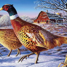 Схема вышивки «№401863»