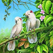 Схема вышивки «экзотические птицы»