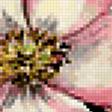 Предпросмотр схемы вышивки «цветение шиповника» (№402112)