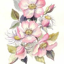 Схема вышивки «цветение шиповника»