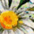 Предпросмотр схемы вышивки «ромашки и божьи коровки» (№402282)
