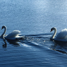 Схема вышивки «лебеди»