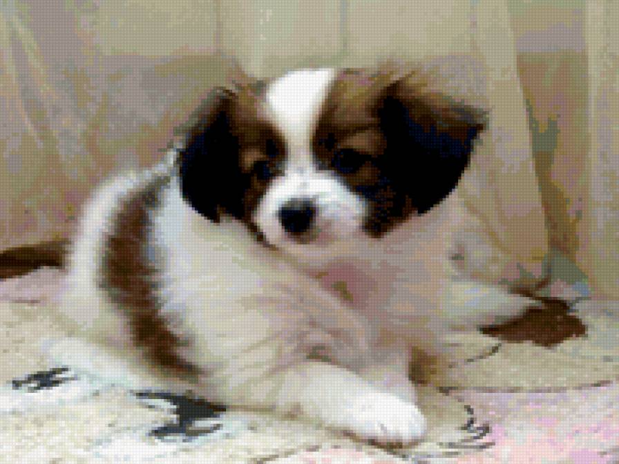 Яська - предпросмотр