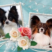 Лила и Стич