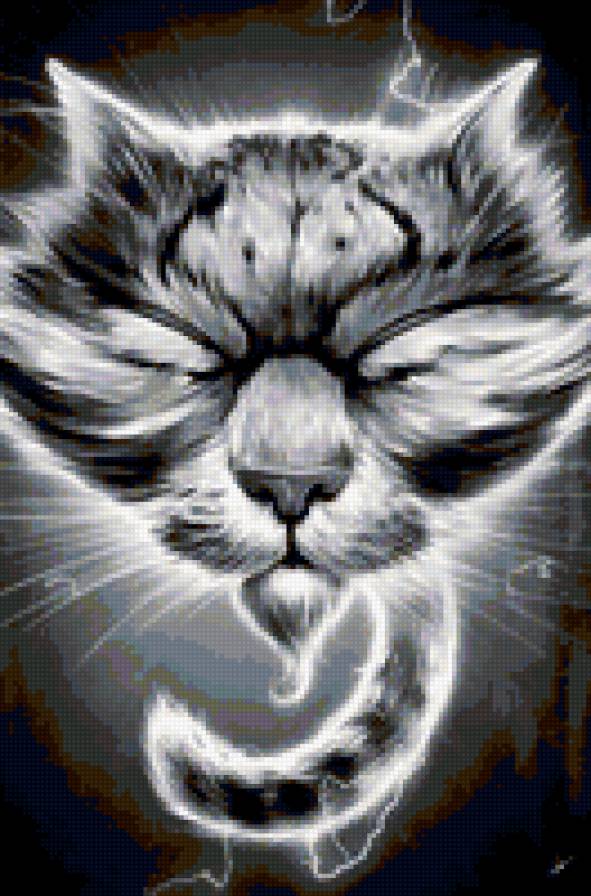 котовское сияние:-) - кот - предпросмотр