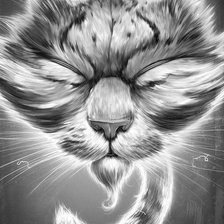 Схема вышивки «котовское сияние:-)»